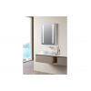 Illuminated Bathroom Wall Cabinets DIMS0110 Sakura 500mm 1 Door Front-Lit LED Mirror Cabinet