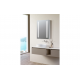 Sakura 500mm 1 Door Front-Lit LED Mirror Cabinet