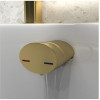 Bath Overflow Filler w/Integrated Valve - Brushed Brass