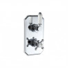 Mixer Valve Chrome DICM0684 Berwick Traditional Lever Thermostatic Single Outlet Shower Valve - Chrome