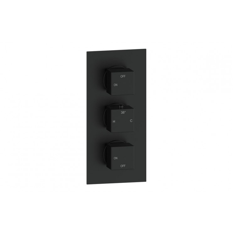 Cosmic Thermostatic Two Outlet Triple Shower Valve - Matt Black