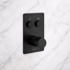 Abode Uno Concealed Push Button Shower (2 Exit) - Matt Black