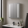 Sakura 600mm 2 Door Front-Lit LED Mirror Cabinet