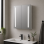 Sakura 600mm 2 Door Front-Lit LED Mirror Cabinet