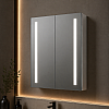 Sakura 600mm 2 Door Front-Lit LED Mirror Cabinet
