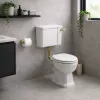 Sherbourne Low Level WC & Soft Close Seat w/Br.Brass Finishes
