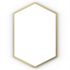 Origins Living Docklands Octagon Mirror 60cm Brushed Brass DKL-00T060-BB