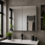 VitrA 1020x695mm Mirrored Cabinet - Brushed Chrome