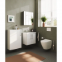 VitrA 620x695mm Mirrored Cabinet (RH Hinge) - Brushed Chrome