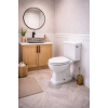 Sherbourne Close Coupled WC & Satin White Wood Effect Seat