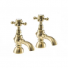Abode Sentiment Basin Pillar Taps - Brushed Brass