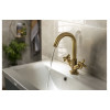Abode Serenitie Basin Mixer - Antique Brass