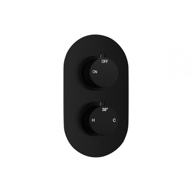 Aurora Thermostatic Single Outlet Twin Shower Valve - Matt Black