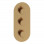 Aurora Thermostatic Two Outlet Triple Shower Valve - Brushed Bronze