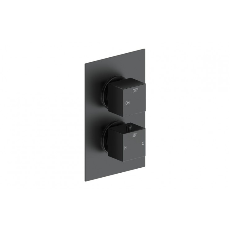 Cosmic Thermostatic Single Outlet Twin Shower Valve - Matt Black