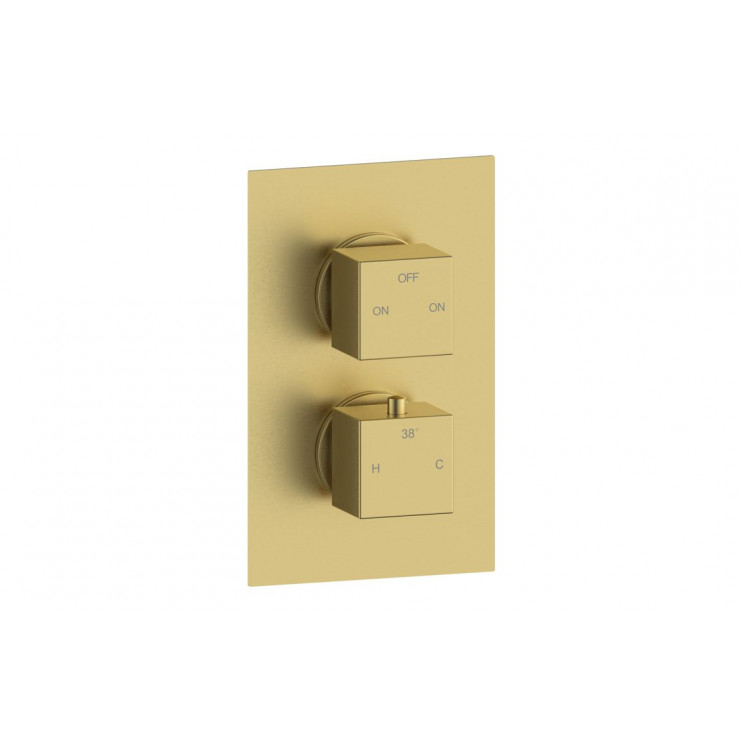 Cosmic Thermostatic Two Outlet Twin Shower Valve - Brushed Brass Cosmic Thermostatic Two Outlet Twin Shower Valve - Brushed Brass