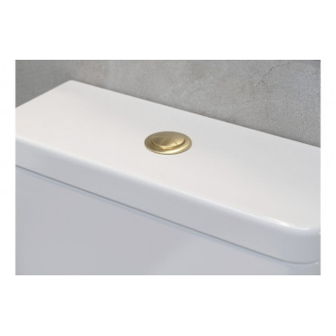 Dual Push Button Cover (Rod) - Brushed Brass