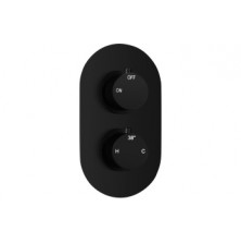 Aurora Thermostatic Single Outlet Twin Shower Valve - Matt Black