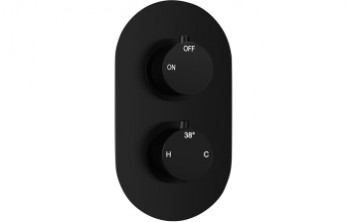 Aurora Thermostatic Single Outlet Twin Shower Valve - Matt Black