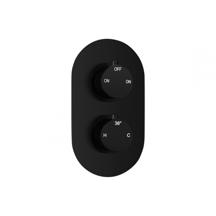 Aurora Thermostatic Two Outlet Twin Shower Valve - Matt Black