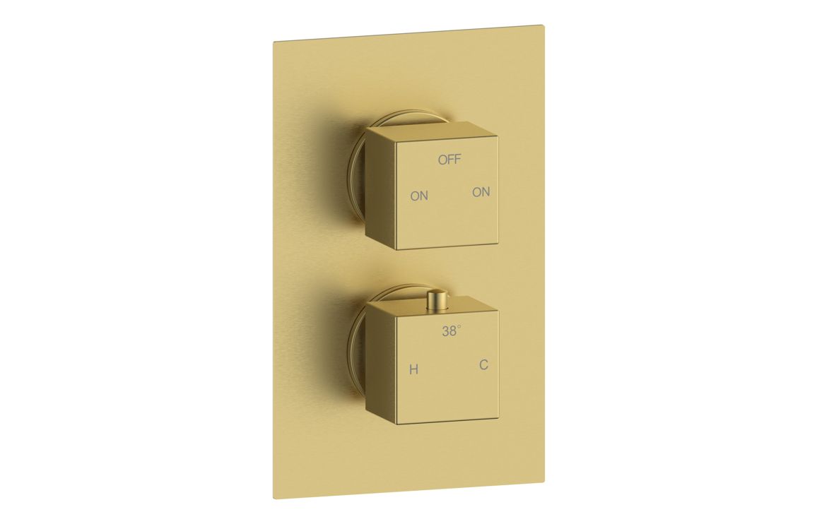 Cosmic Thermostatic Two Outlet Twin Shower Valve - Brushed Brass