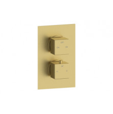 Cosmic Thermostatic Two Outlet Twin Shower Valve - Brushed Brass