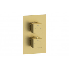 Cosmic Thermostatic Two Outlet Twin Shower Valve - Brushed Brass