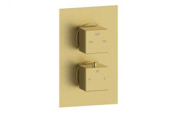 Cosmic Thermostatic Two Outlet Twin Shower Valve - Brushed Brass Cosmic Thermostatic Two Outlet Twin Shower Valve - Brushed Brass