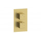 Cosmic Thermostatic Two Outlet Twin Shower Valve - Brushed Brass Cosmic Thermostatic Two Outlet Twin Shower Valve - Brushed Brass