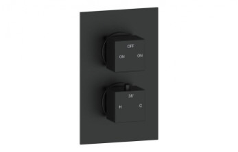 Cosmic Thermostatic Two Outlet Twin Shower Valve - Matt Black Cosmic Thermostatic Two Outlet Twin Shower Valve - Matt Black