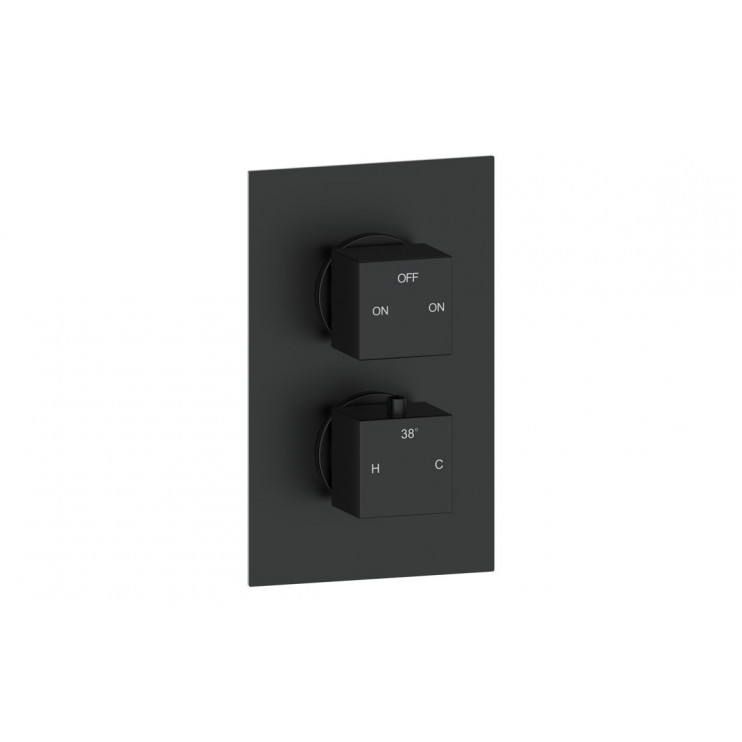 Cosmic Thermostatic Two Outlet Twin Shower Valve - Matt Black