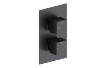 Cosmic Thermostatic Single Outlet Twin Shower Valve - Matt Black Cosmic Thermostatic Single Outlet Twin Shower Valve - Matt Black