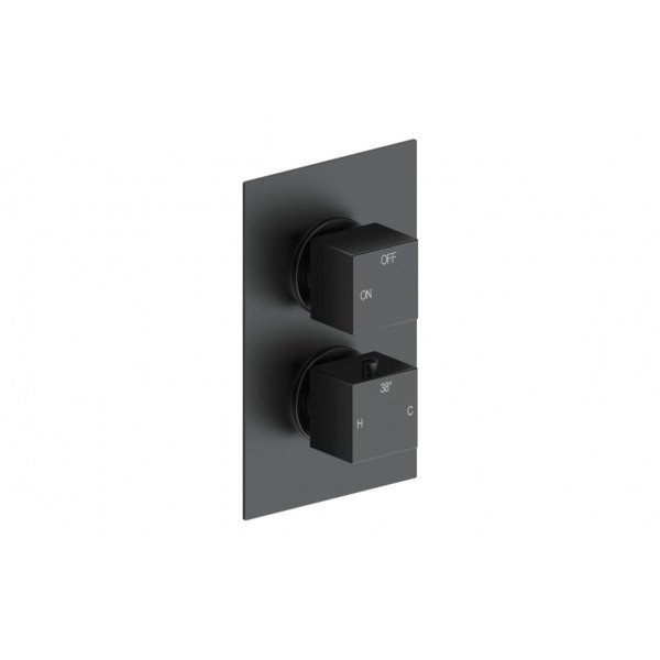 Cosmic Thermostatic Single Outlet Twin Shower Valve - Matt Black Cosmic Thermostatic Single Outlet Twin Shower Valve - Matt Black