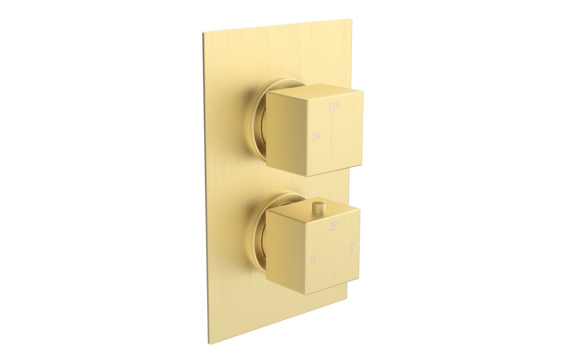 Cosmic Thermostatic Single Outlet Twin Shower Valve - Brushed Brass