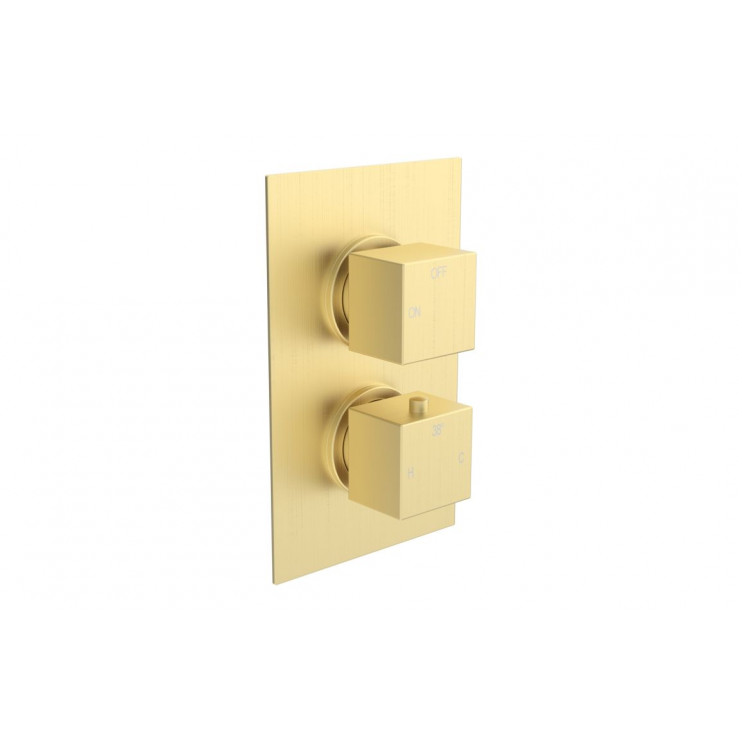Cosmic Thermostatic Single Outlet Twin Shower Valve - Brushed Brass