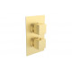 Cosmic Thermostatic Single Outlet Twin Shower Valve - Brushed Brass Cosmic Thermostatic Single Outlet Twin Shower Valve - Brushed Brass
