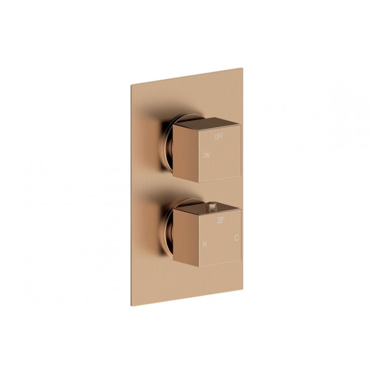 Cosmic Thermostatic Single Outlet Twin Shower Valve - Brushed Bronze