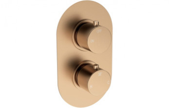 Aurora Thermostatic Single Outlet Twin Shower Valve - Brushed Bronze