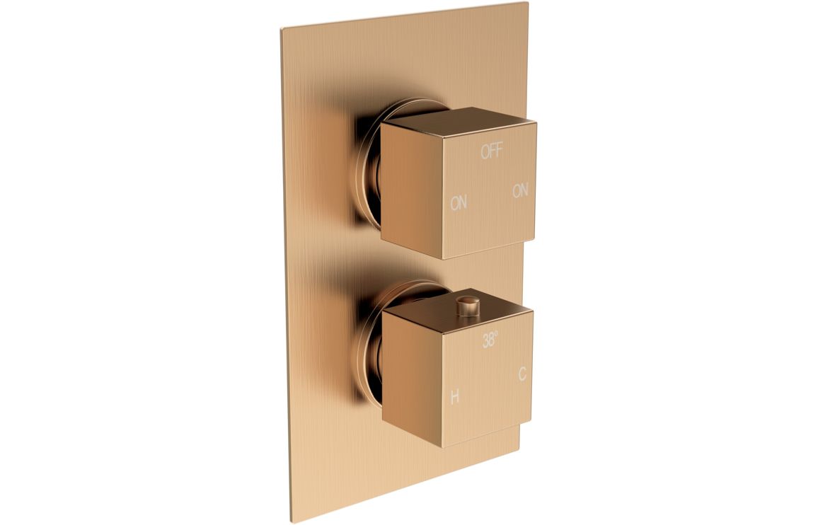 Cosmic Thermostatic Two Outlet Twin Shower Valve - Brushed Bronze
