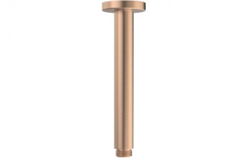 Aurora 180mm Round Ceiling Arm - Brushed Bronze