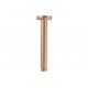 Aurora 180mm Round Ceiling Arm - Brushed Bronze Aurora 180mm Round Ceiling Arm - Brushed Bronze