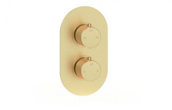Aurora Thermostatic Two Outlet Twin Shower Valve - Brushed Brass