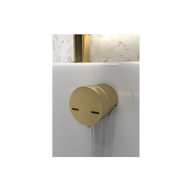 Bath Overflow Filler w/Integrated Valve - Brushed Brass