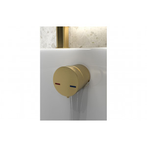 Bath Overflow Filler w/Integrated Valve - Brushed Brass