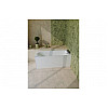 Pierson D Shape Single End 1700x700x550mm 2TH Bath w/Legs