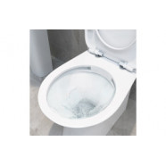 Sandro Rimless Back To Wall WC & Soft Close Seat