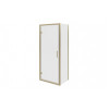 Classix 800mm x 6mm Glass Pivot Door - Brushed Brass