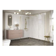 Iconix 500mm 8mm Glass Wetroom 8mm Glass Side Panel & Arm - Brushed Brass