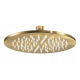 Showerheads Brushed Brass
