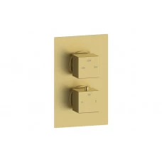 Cosmic Thermostatic Two Outlet Twin Shower Valve - Brushed Brass